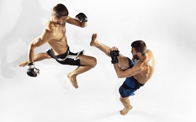 Zwei professionelle MMA-Kämpfer, die auf weißem Studio isoliert boxen.