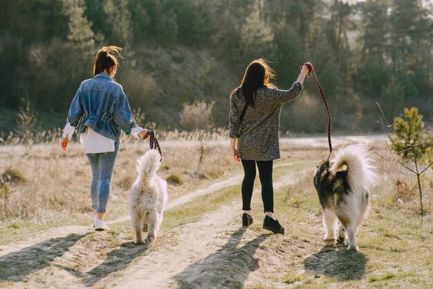 Zwei stilvolle Mädchen in einem sonnigen Feld mit Hunden