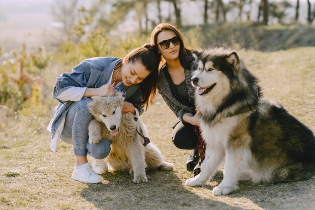 Zwei stilvolle Mädchen in einem sonnigen Feld mit Hunden