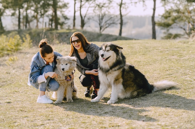 Zwei stilvolle Mädchen in einem sonnigen Feld mit Hunden