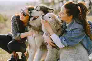 Kostenloses Foto zwei stilvolle mädchen in einem sonnigen feld mit hunden