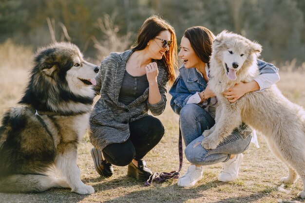 Zwei stilvolle Mädchen in einem sonnigen Feld mit Hunden
