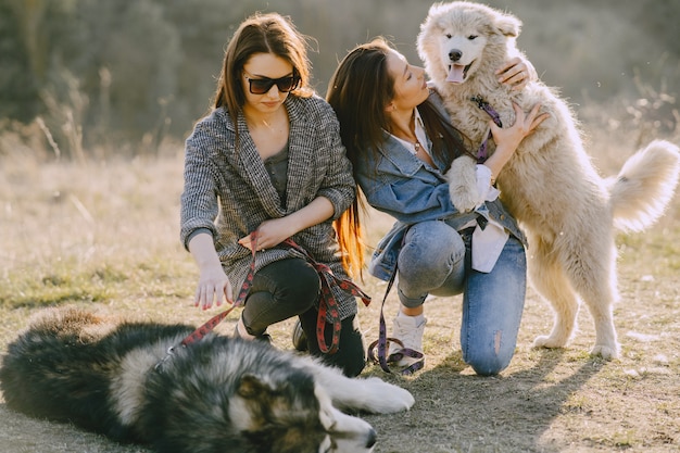 Zwei stilvolle Mädchen in einem sonnigen Feld mit Hunden