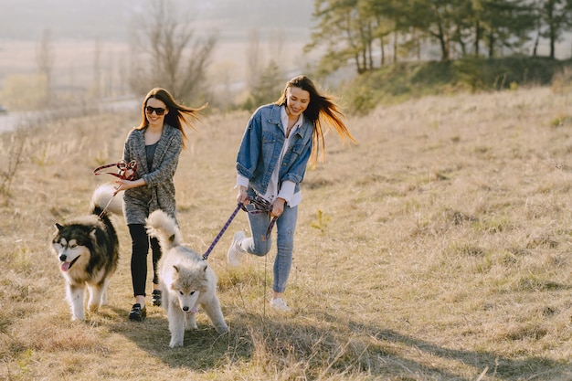 Zwei stilvolle Mädchen in einem sonnigen Feld mit Hunden