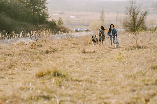 Kostenloses Foto zwei stilvolle mädchen in einem sonnigen feld mit hunden