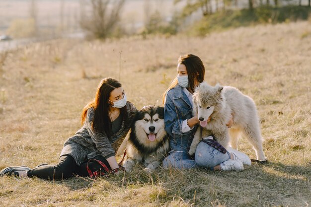 Zwei stilvolle Mädchen in einem sonnigen Feld mit Hunden