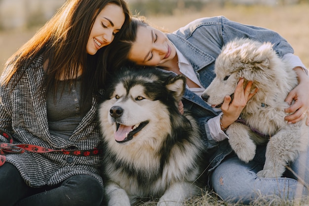 Zwei stilvolle Mädchen in einem sonnigen Feld mit Hunden