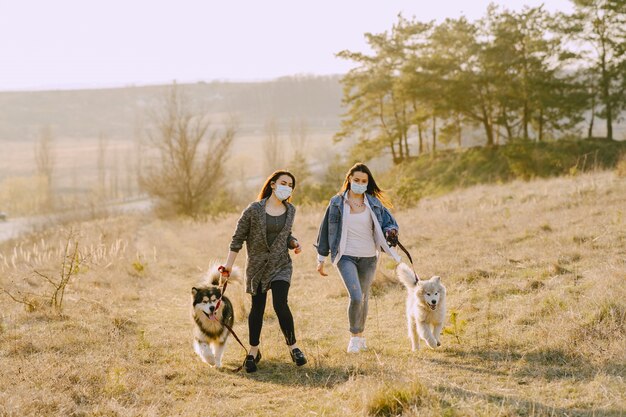 Zwei stilvolle Mädchen in einem sonnigen Feld mit Hunden