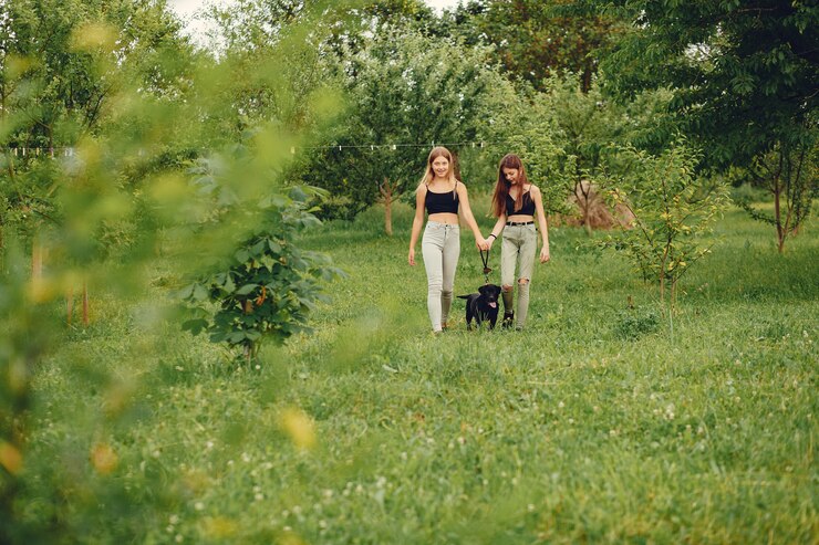 Zwei süße Mädchen in einem Sommerpark mit einem Hund