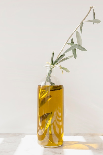 Zweig in der Olivenölflasche gegen weiße Wand