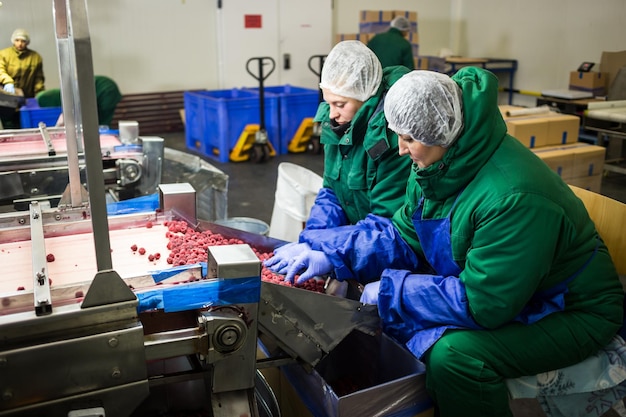 04 de octubre de 2017 Vinnitsa Ucrania Personas en el trabajo con guantes azules protectores seleccionan bayas congeladas Fábrica para congelar el embalaje de frutas y verduras Poca luz y ruido visible