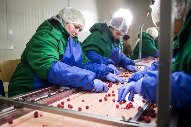 04 de octubre de 2017 Vinnitsa Ucrania Personas en el trabajo con guantes azules protectores seleccionan bayas congeladas Fábrica para congelar el embalaje de frutas y verduras Poca luz y ruido visible