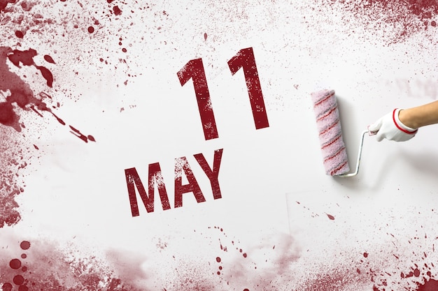 11. Mai. Tag 11 des Monats, Kalenderdatum. Die Hand hält eine Rolle mit roter Farbe und schreibt ein Kalenderdatum auf einen weißen Hintergrund. Frühlingsmonat, Tag des Jahreskonzepts.