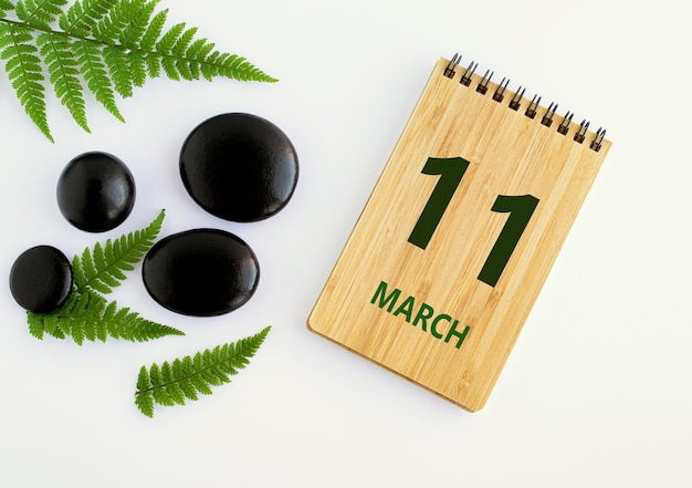 11 de marzo 11 día del mes calendario fecha Bloc de notas piedras negras hojas verdes Mes de primavera el concepto del día del año