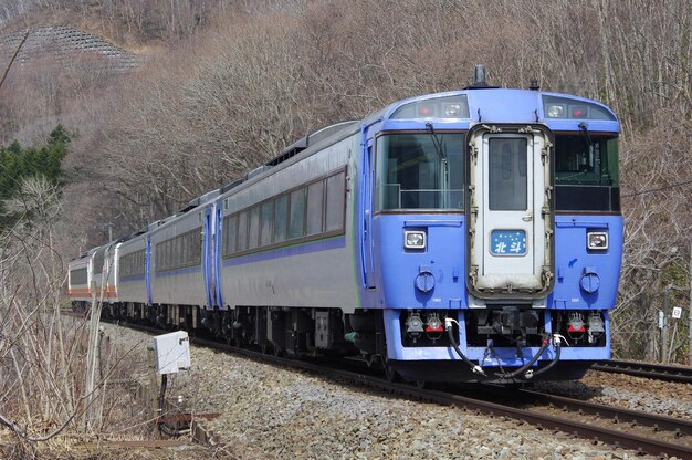 183 Kiha limitierte Express-Hokuto