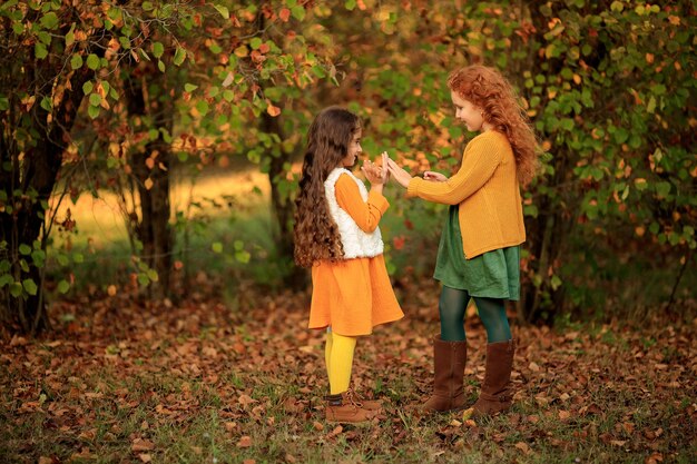 2 alegres chicas morenas y pelirrojas a pasear por el parque de otoño.