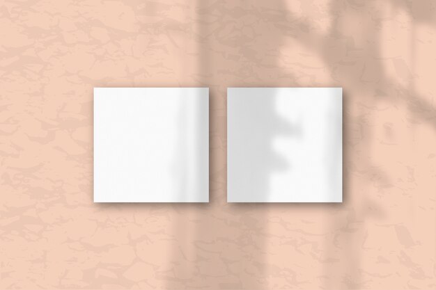 2 folhas quadradas de papel texturizado branco no fundo rosa da parede. Layout com uma sobreposição de sombras de plantas. A luz natural projeta sombras da janela. Camada plana, vista superior. Orientação horizontal