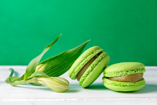 2 galletas de macarrón verde con un capullo sobre una superficie blanca y verde