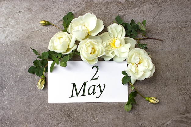 2. Mai. Tag 2 des Monats, Kalenderdatum. Weiße Rosen grenzen auf pastellgrauem Hintergrund mit Kalenderdatum. Frühlingsmonat, Tag des Jahreskonzepts.
