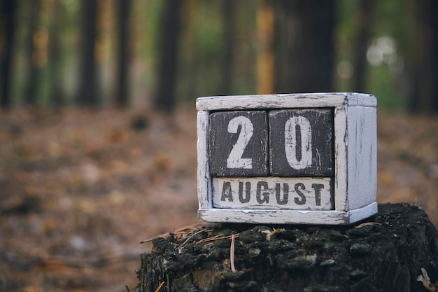 20. August Sommermonat Holzkalender mit Datum und Monat im Wald