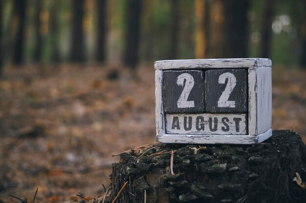 Foto 22 de agosto mes de verano calendario de madera con fecha y mes en el bosque día de la bandera de rusia