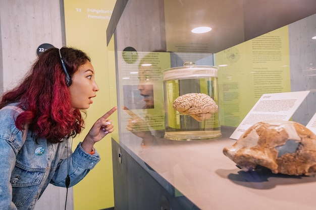22 de julho de 2022 Museu Neandertal Alemanha Aluna olhando para órgão cerebral Conceito de ciência e saúde