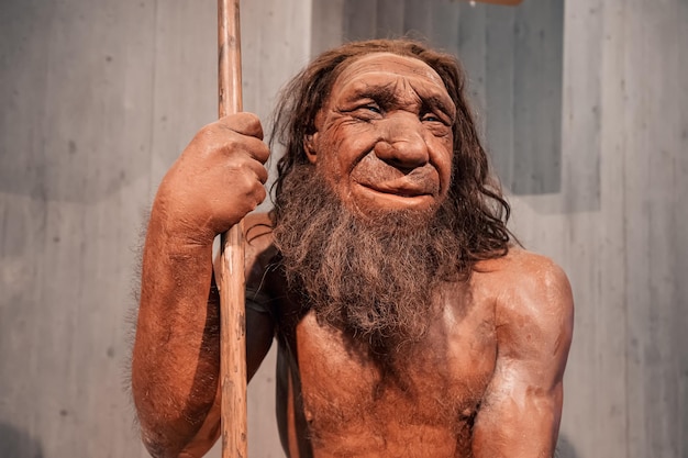 22 de julho de 2022 Museu Neanderthal Alemanha Figura de cera detalhada do homem das cavernas pré-histórico Neanderthal com lança no museu Human Sapiens antropologia ciência e teoria da evolução