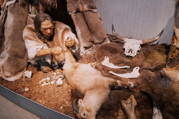 22 de julio de 2022 Museo Neanderthal Alemania La casa de los antiguos tapizados con pieles de animales El hombre se dedica a la caza