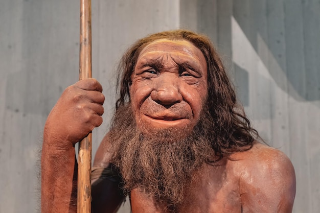 22 de julio de 2022 Museo Neanderthal Alemania Figura de cera detallada del hombre de las cavernas prehistóricas Neanderthal con lanza en el museo Human Sapiens antropología ciencia y teoría de la evolución