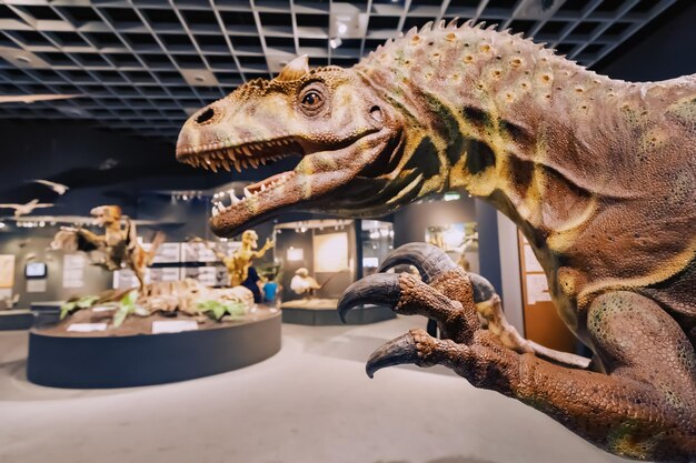 26 de julio de 2022 Museo de Historia Natural de Munster Alemania Modelo de dinosaurio Allosaurus en el Museo de Historia Natural