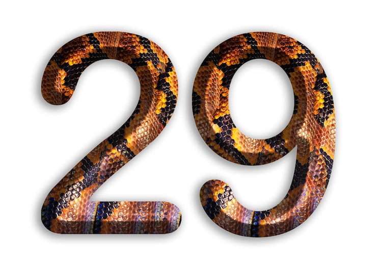 Foto 29 forma de número con motivo de piel de serpiente diseño piel de pitón