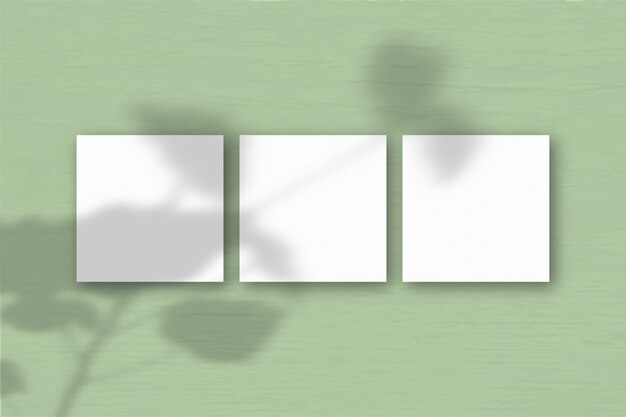 3 hojas cuadradas de papel blanco con textura sobre el fondo de la pared verde. Superposición de maquetas con las sombras de las plantas. La luz natural proyecta sombras de los geranios. Vista plana endecha, superior. Orientación horizontal
