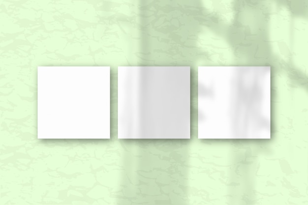 3 quadratische Blätter weißes strukturiertes Papier auf dem grünen Wandhintergrund. Layout mit einer Überlagerung von Pflanzenschatten. Natürliches Licht wirft Schatten aus dem Fenster. Flache Lage, Ansicht von oben. Horizontale Ausrichtung