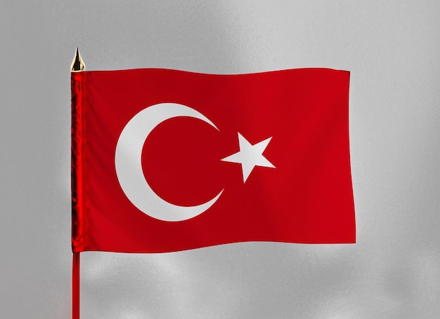 30 de agosto Celebración de la victoria de Turquía