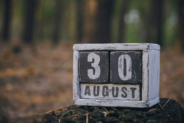 30. August Sommermonat Holzkalender mit Datum und Monat im Wald