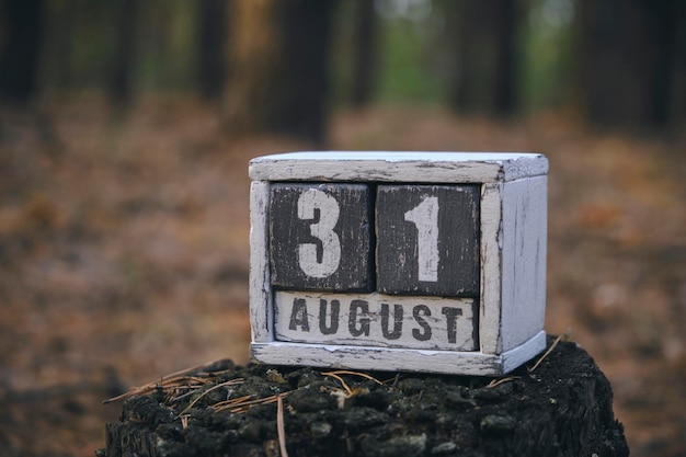 31. August Sommermonat Holzkalender mit Datum und Monat im Wald