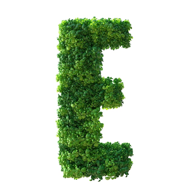 3d alfabeto letra E. Planta verde, folhas, grama, musgo, manjericão, hortelã. Trajeto de recorte.