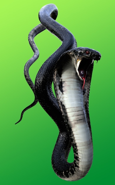 3d cobra rei cobra preta cobra venenosa mais longa do mundo