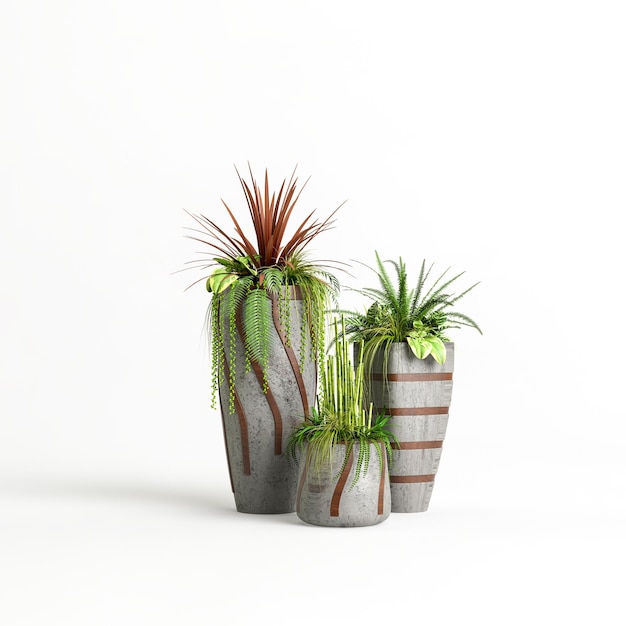 3D-Darstellung der Sammlung von Betonpflanzen für den Innenbereich isoliert auf weißem Hintergrund