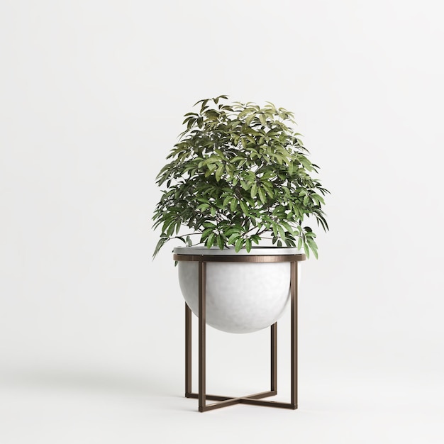 3D-Darstellung der Zimmerpflanze im Topf isoliert auf weißem Hintergrund