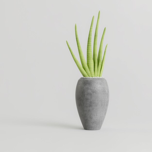 3D-Darstellung der Zimmerpflanze in modernen Topfpflanzen isoliert auf weißem Hintergrund