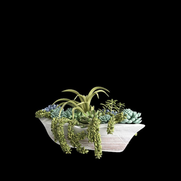 3D-Darstellung der Zimmerpflanze isoliert auf schwarzem Hintergrund