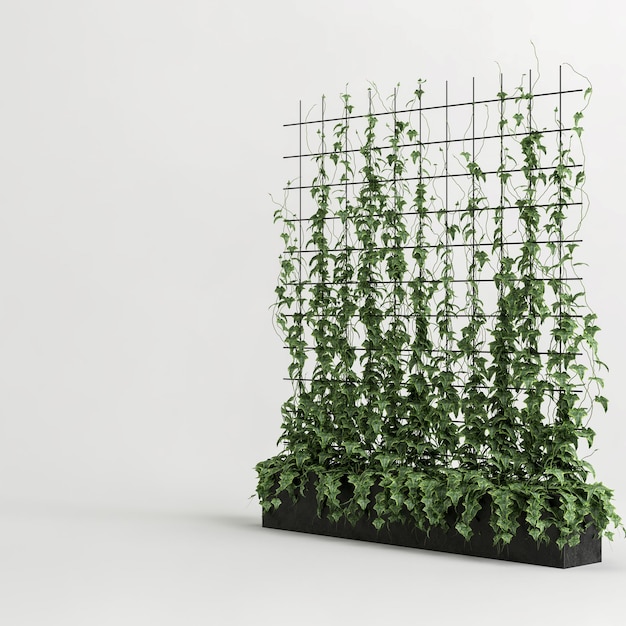 3D-Darstellung des schwarzen Pflanzenkübels mit Schlingpflanze isoliert auf weißem Hintergrund