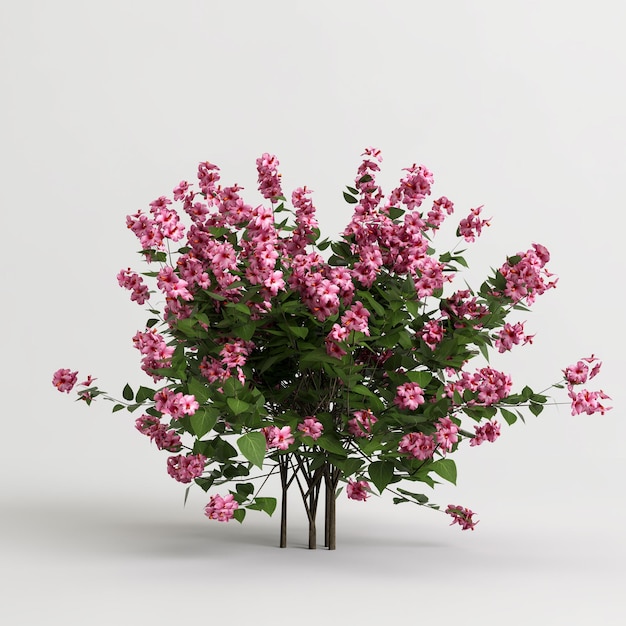 3D-Darstellung des Strauchs mit Blumen isoliert auf weißem Hintergrund