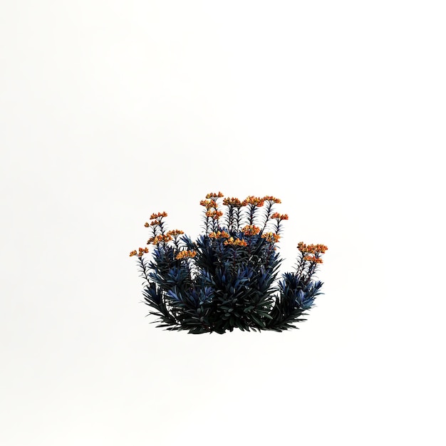 3D-Darstellung des Strauchs mit Blumen isoliert auf weißem Hintergrund