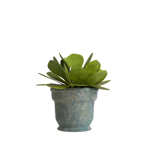 3D-Darstellung einer Topfpflanze im Innenraum isoliert auf weißem Hintergrund
