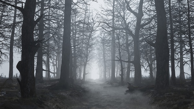 3D-Darstellung eines unheimlichen und leeren Waldes im Nebel