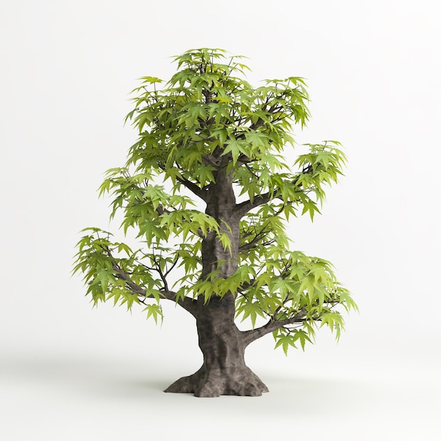 3D-Darstellung von Acer palmatum Bonsai isoliert auf Weiß und seiner Maske