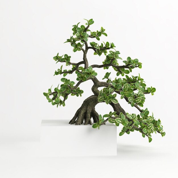 3D-Darstellung von Serissa japonica Bonsai isoliert auf Weiß und seiner Maske