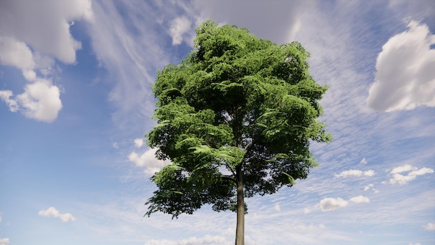 Foto 3d einzelner baum mit blauem bewölktem himmel